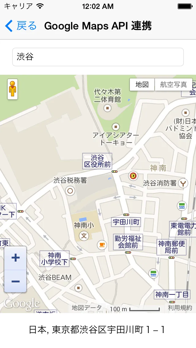 Google Maps API 連携