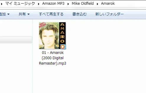 ダウンロードされたファイル