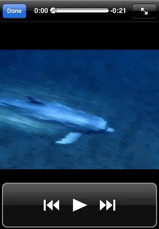 MPMoviePlayerController フルスクリーン